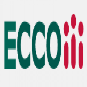 Eccom Network (US)